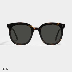 Gentle Monster My Ma 01 Sunglasses in Tortoise